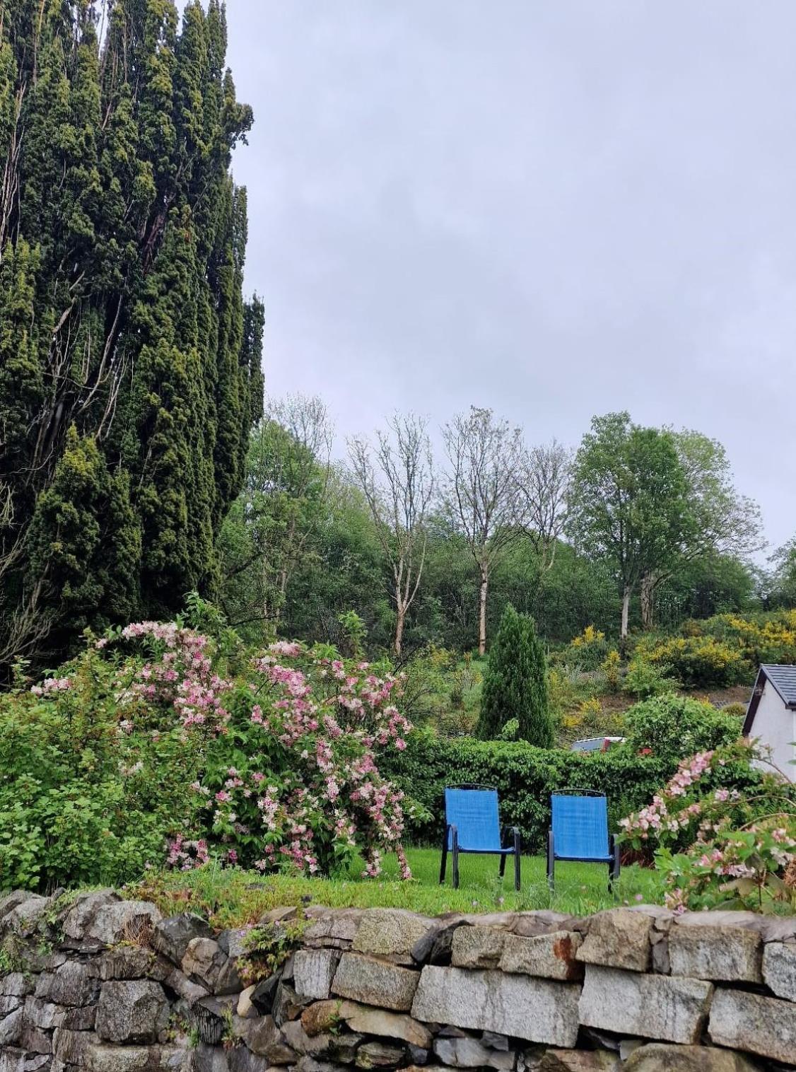 Nordlys Cottage Newton Stewart Kültér fotó